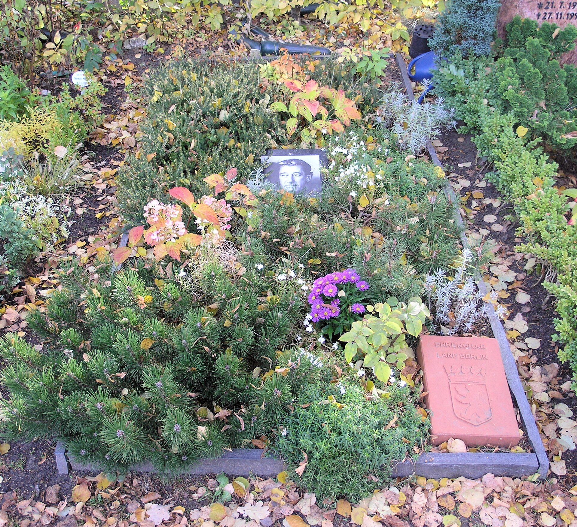 Planted grave of Helmut Newton with portrait plaque at Stubenrauchstraße Cemetery