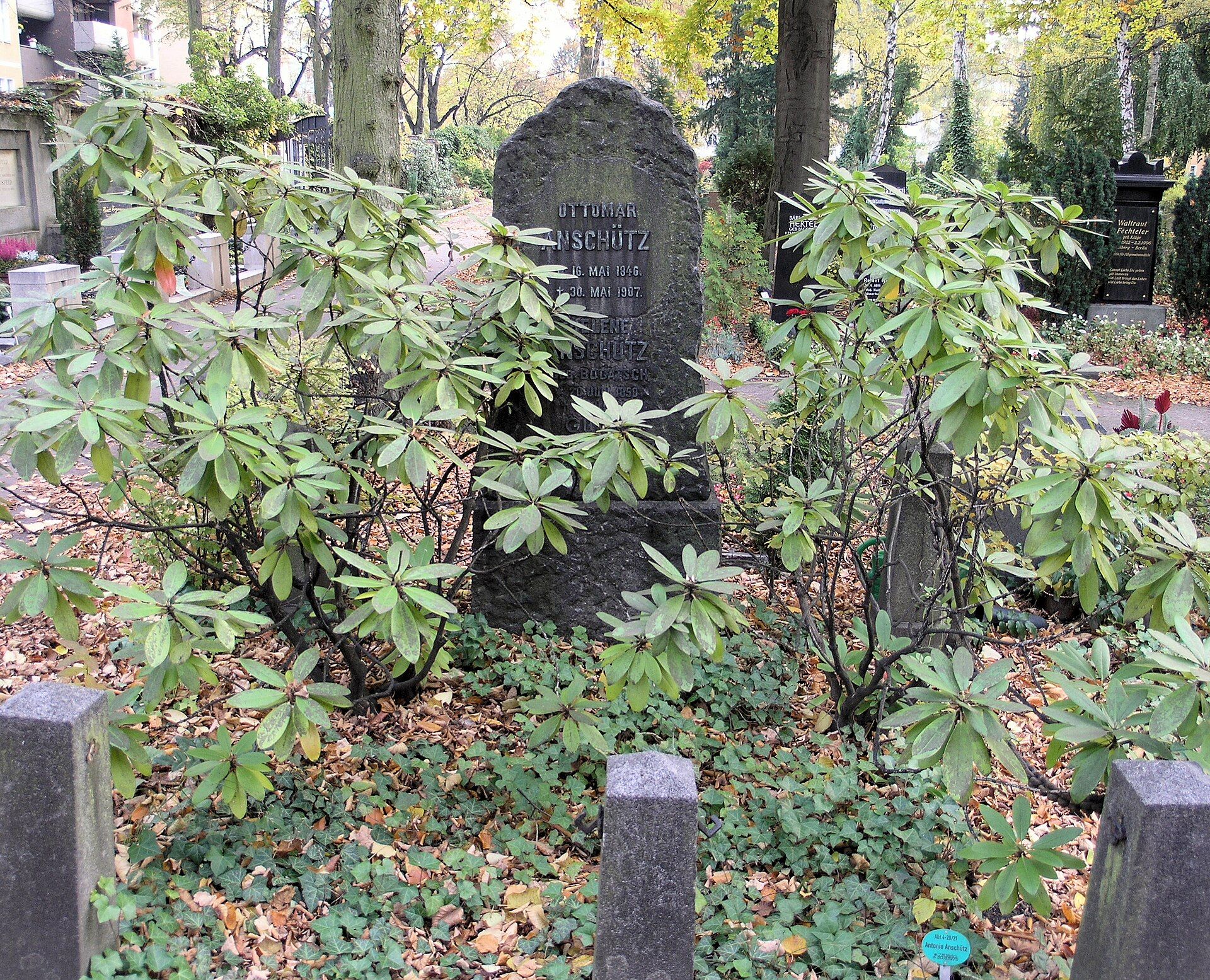 Dark gravestone of Ottomar Anschütz among rhododendrons at Stubenrauchstraße Cemetery