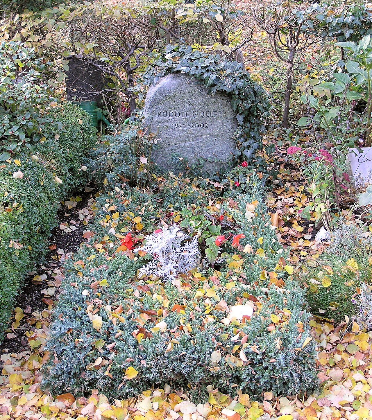 Rudolf Noelte’s grave framed by ivy and autumn leaves at Stubenrauchstraße Cemetery