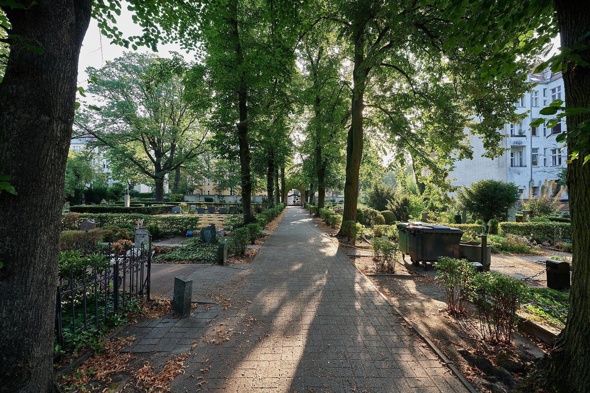 Gerade, von Linden gesäumte Hauptachse des Friedhofs Stubenrauchstraße in Richtung Portal